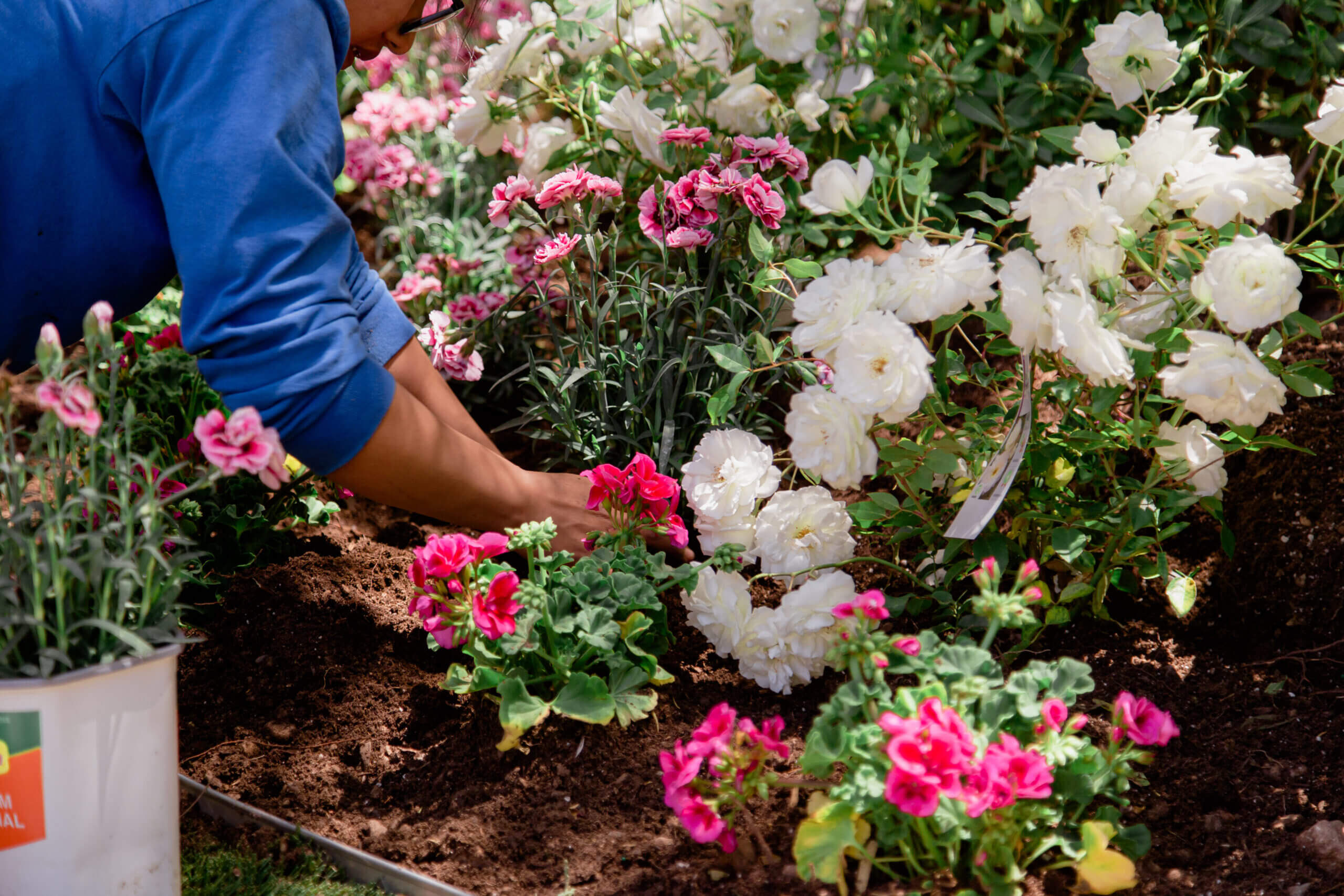 hero-plant-installation
